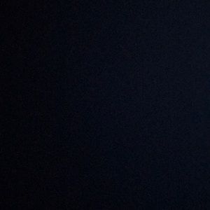 Meet your Posher, Ricky